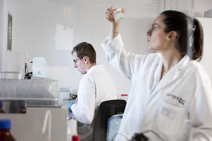 Deux chercheurs dans le laboratoire Probiotic Group